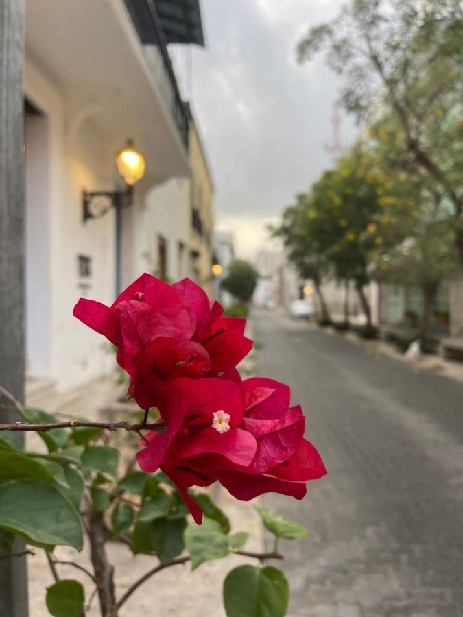 VBermor Hotel Santo Domingo Buitenkant foto